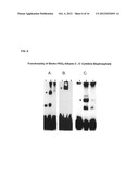 MODIFIED NUCLEOTIDES METHODS AND KITS diagram and image