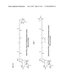 MODIFIED NUCLEOTIDES METHODS AND KITS diagram and image