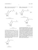 MODIFIED NUCLEOTIDES METHODS AND KITS diagram and image