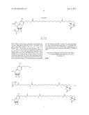 MODIFIED NUCLEOTIDES METHODS AND KITS diagram and image