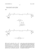 MODIFIED NUCLEOTIDES METHODS AND KITS diagram and image