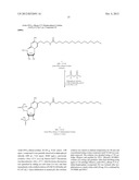 MODIFIED NUCLEOTIDES METHODS AND KITS diagram and image