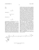 MODIFIED NUCLEOTIDES METHODS AND KITS diagram and image