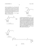 MODIFIED NUCLEOTIDES METHODS AND KITS diagram and image