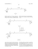 MODIFIED NUCLEOTIDES METHODS AND KITS diagram and image