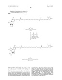 MODIFIED NUCLEOTIDES METHODS AND KITS diagram and image