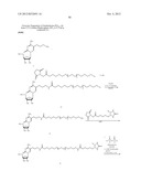 MODIFIED NUCLEOTIDES METHODS AND KITS diagram and image