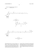 MODIFIED NUCLEOTIDES METHODS AND KITS diagram and image