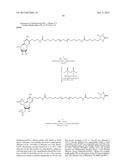 MODIFIED NUCLEOTIDES METHODS AND KITS diagram and image