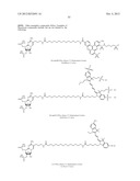 MODIFIED NUCLEOTIDES METHODS AND KITS diagram and image