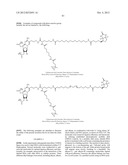 MODIFIED NUCLEOTIDES METHODS AND KITS diagram and image