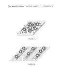 METHOD AND SYSTEM FOR CAPTURE AND USE OF INTACT VESICLES ON     ELECTRODEPOSITED HYDROPHOBICALLY MODIFIED BIOPOLYMER FILMS diagram and image