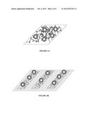 METHOD AND SYSTEM FOR CAPTURE AND USE OF INTACT VESICLES ON     ELECTRODEPOSITED HYDROPHOBICALLY MODIFIED BIOPOLYMER FILMS diagram and image