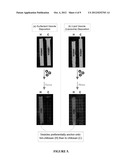 METHOD AND SYSTEM FOR CAPTURE AND USE OF INTACT VESICLES ON     ELECTRODEPOSITED HYDROPHOBICALLY MODIFIED BIOPOLYMER FILMS diagram and image