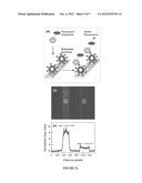 METHOD AND SYSTEM FOR CAPTURE AND USE OF INTACT VESICLES ON     ELECTRODEPOSITED HYDROPHOBICALLY MODIFIED BIOPOLYMER FILMS diagram and image