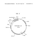 CONJUGATES OF BIOLOGICALLY ACTIVE PROTEINS HAVING A MODIFIED IN VIVO     HALF-LIFE diagram and image