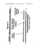 METAL-BINDING THERAPEUTIC PEPTIDES diagram and image