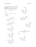 Isoxazole Compounds As Inhibitors Of Heat Shock Proteins diagram and image