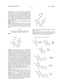 Isoxazole Compounds As Inhibitors Of Heat Shock Proteins diagram and image