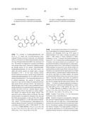 Isoxazole Compounds As Inhibitors Of Heat Shock Proteins diagram and image