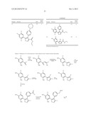 Isoxazole Compounds As Inhibitors Of Heat Shock Proteins diagram and image