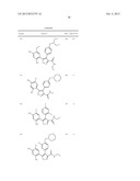 Isoxazole Compounds As Inhibitors Of Heat Shock Proteins diagram and image