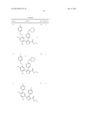 Isoxazole Compounds As Inhibitors Of Heat Shock Proteins diagram and image