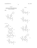 Isoxazole Compounds As Inhibitors Of Heat Shock Proteins diagram and image