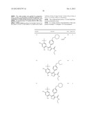 Isoxazole Compounds As Inhibitors Of Heat Shock Proteins diagram and image