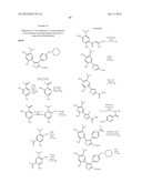 Isoxazole Compounds As Inhibitors Of Heat Shock Proteins diagram and image