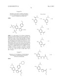 Isoxazole Compounds As Inhibitors Of Heat Shock Proteins diagram and image