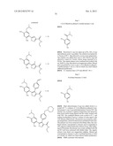 Isoxazole Compounds As Inhibitors Of Heat Shock Proteins diagram and image