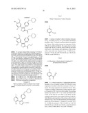 Isoxazole Compounds As Inhibitors Of Heat Shock Proteins diagram and image