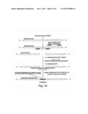 Oligonucleotide Complex Compositions And Methods Of Use As Gene Alteration     Tools diagram and image