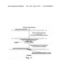 Oligonucleotide Complex Compositions And Methods Of Use As Gene Alteration     Tools diagram and image