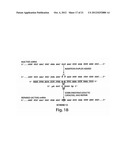 Oligonucleotide Complex Compositions And Methods Of Use As Gene Alteration     Tools diagram and image