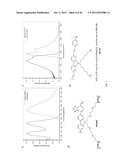 SIGNAL AMPLIFIED BIOLOGICAL DETECTION WITH CONJUGATED POLYMERS diagram and image