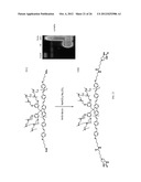 SIGNAL AMPLIFIED BIOLOGICAL DETECTION WITH CONJUGATED POLYMERS diagram and image