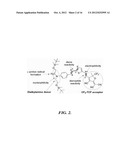 DIELS-ALDER CROSSLINKABLE DENDRITIC NONLINEAR OPTIC CHROMOPHORES AND     POLYMER COMPOSITES diagram and image