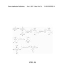 DIELS-ALDER CROSSLINKABLE DENDRITIC NONLINEAR OPTIC CHROMOPHORES AND     POLYMER COMPOSITES diagram and image