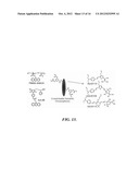 DIELS-ALDER CROSSLINKABLE DENDRITIC NONLINEAR OPTIC CHROMOPHORES AND     POLYMER COMPOSITES diagram and image