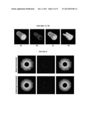 COMBINED ULTRASOUND AND PHOTOACOUSTIC IMAGING OF METAL OBJECTS diagram and image