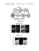 COMBINED ULTRASOUND AND PHOTOACOUSTIC IMAGING OF METAL OBJECTS diagram and image