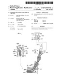 METHODS AND SYSTEMS FOR CHEMICAL ABLATION diagram and image