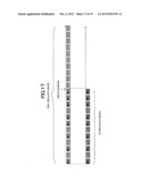 ULTRASONIC DIAGNOSTIC APPARATUS, ELASTIC IMAGE STORAGE/REPRODUCTION     METHOD, AND ELASTIC IMAGE STORAGE/REPRODUCTION PROGRAM diagram and image