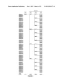 Numbering System for Antecedents and Outcomes diagram and image