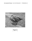 REMOTELY CONTROLLED ANIMAL MOTION DECOY SYSTEM diagram and image