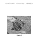 REMOTELY CONTROLLED ANIMAL MOTION DECOY SYSTEM diagram and image