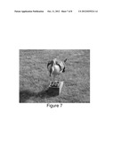 REMOTELY CONTROLLED ANIMAL MOTION DECOY SYSTEM diagram and image