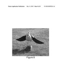 REMOTELY CONTROLLED ANIMAL MOTION DECOY SYSTEM diagram and image